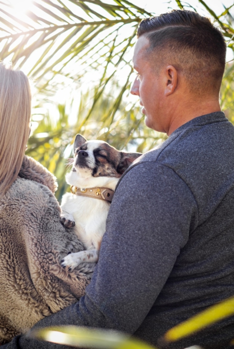 Fotografie Hund