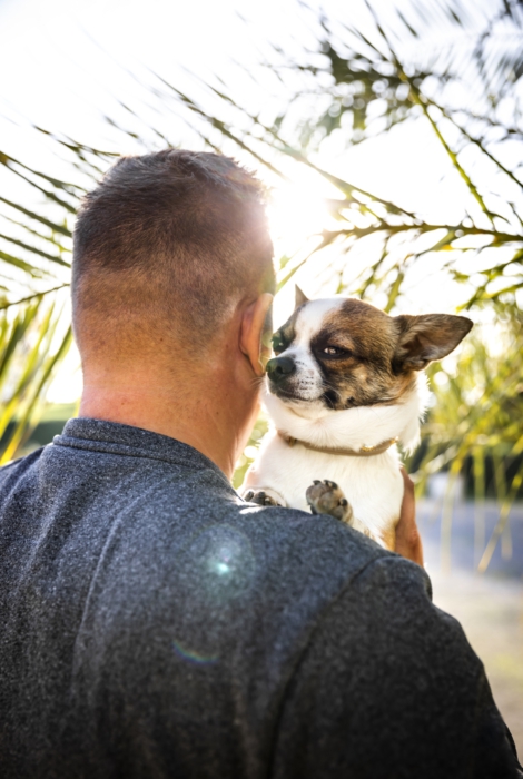 Fotografie Hund