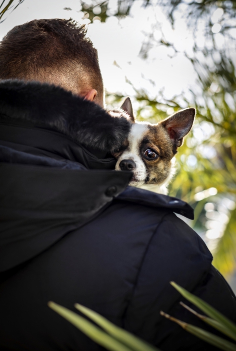 Fotografie Hund