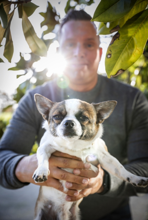 Fotografie Hund