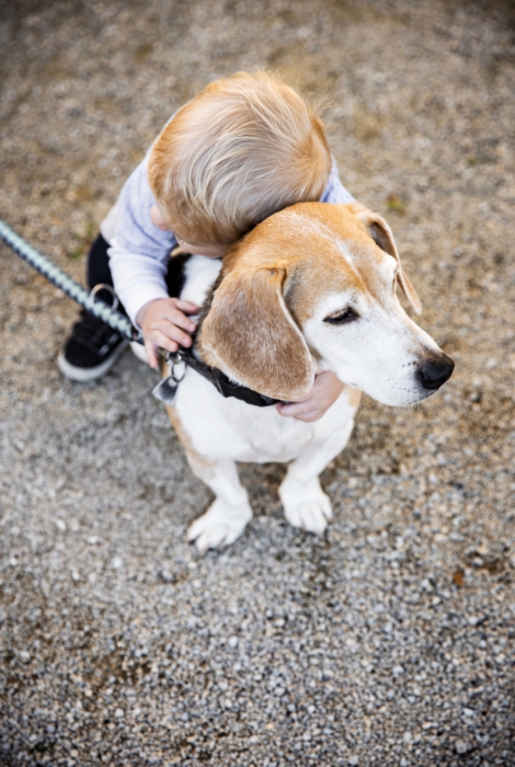 Fotografie Hund